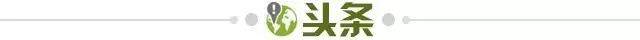 九游app下载入口-【早报】荷兰兵不血刃！土耳其“黑进”八强！